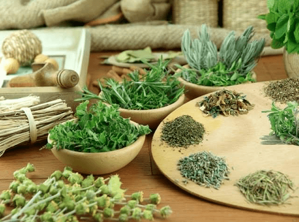 Herbs for powerless treatment
